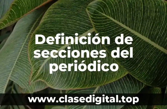 Definición técnica de secciones del periódico
