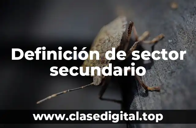 Definición de sector secundario
