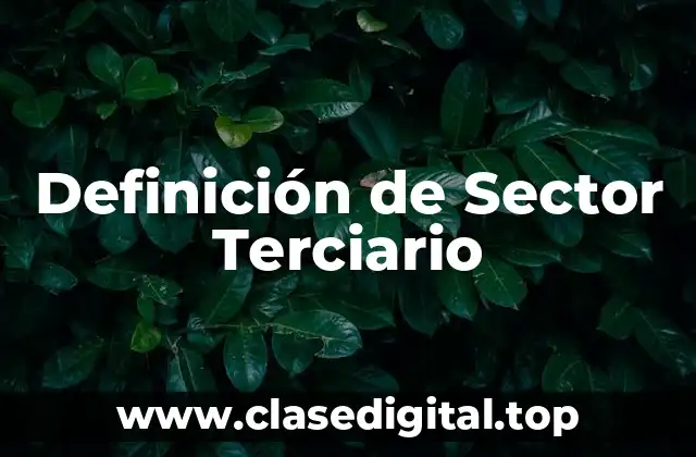 Definición Técnica del Sector Terciario