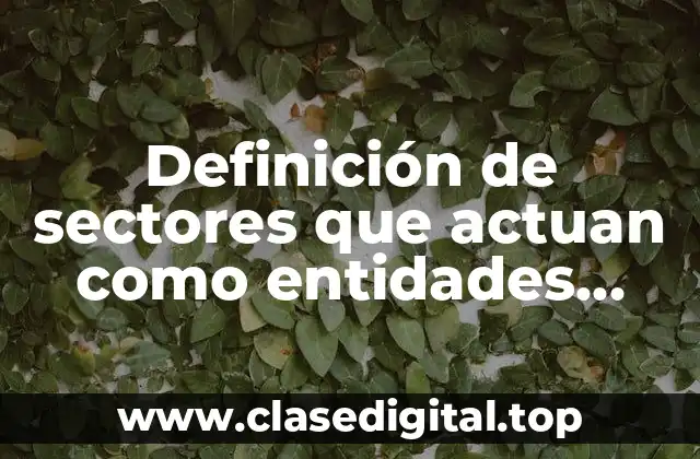 Definición de sectores que actuan como entidades financieras en México