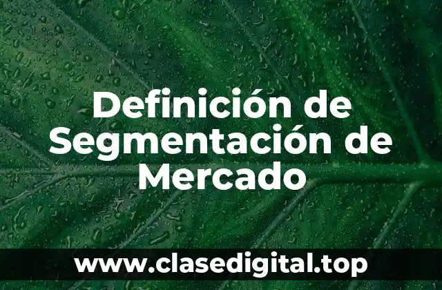 Definición de Segmentación de Mercado
