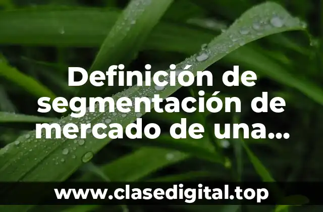 Definición de segmentación de mercado de una empresa industrial