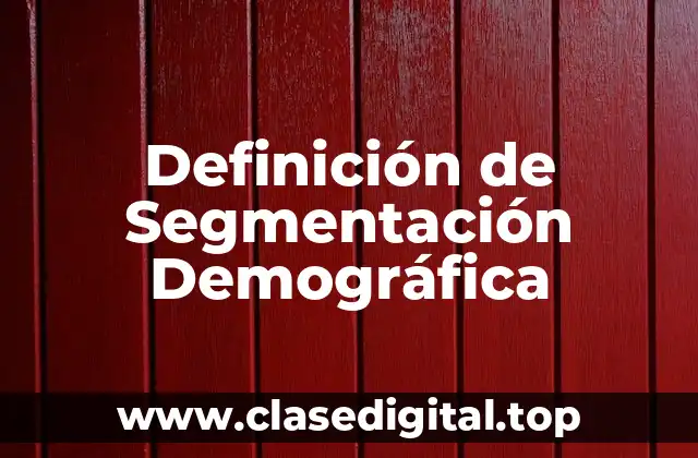 Definición de Segmentación Demográfica