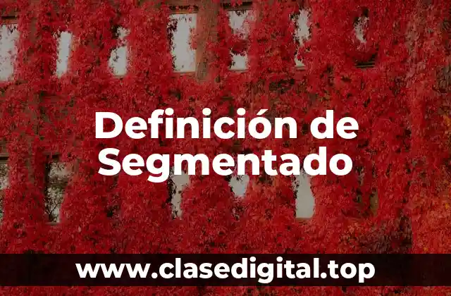 Definición de Segmentado