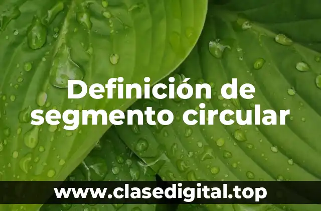 Definición de segmento circular