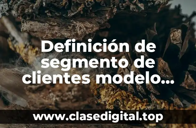 Definición de segmento de clientes modelo canvas