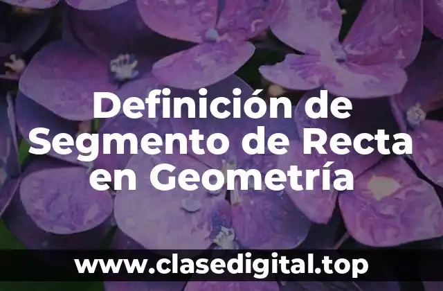 Definición de Segmento de Recta en Geometría