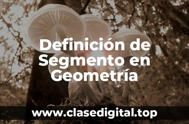 Definición de Segmento en Geometría