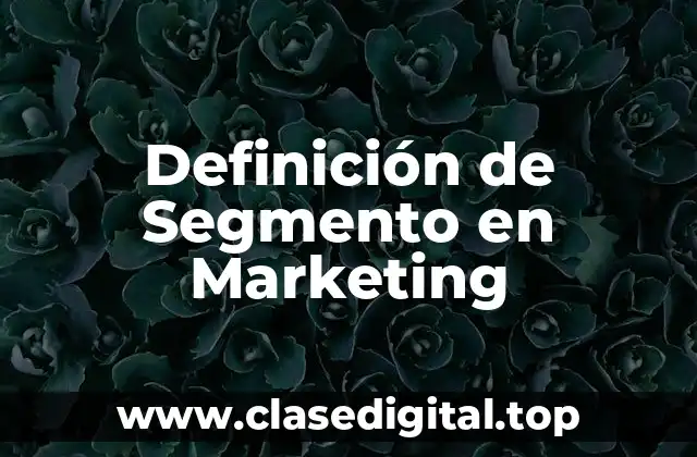 Definición de Segmento en Marketing