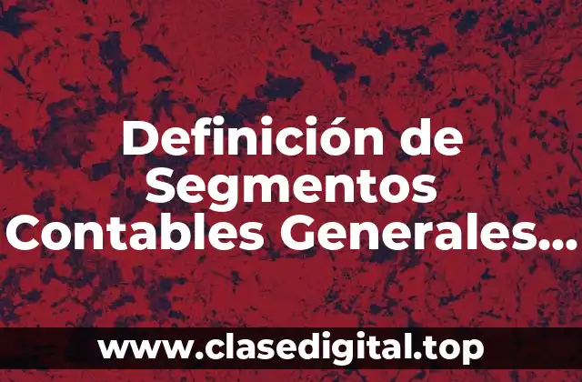 Definición de Segmentos Contables Generales y por Cliente