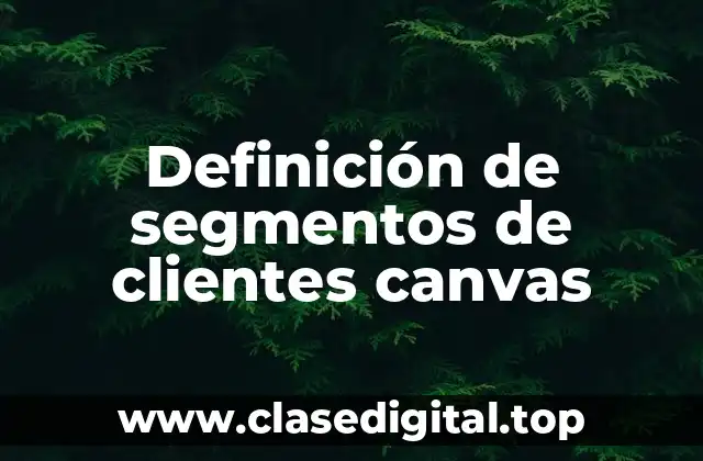 Definición de segmentos de clientes canvas