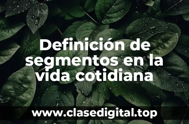 Definición de segmentos en la vida cotidiana