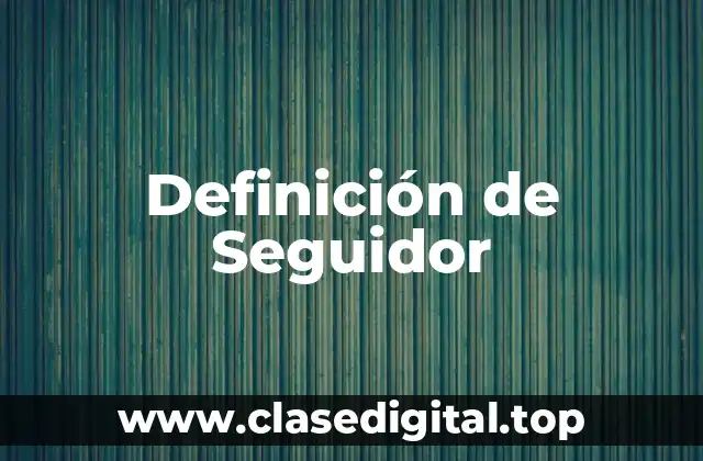 Definición de Seguidor