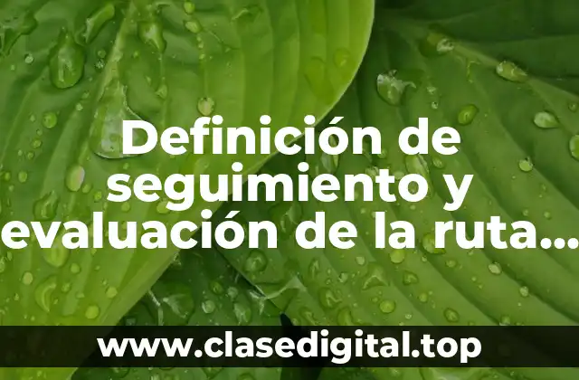 Definición de seguimiento y evaluación de la ruta de mejora