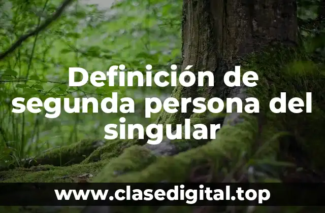 Definición de segunda persona del singular