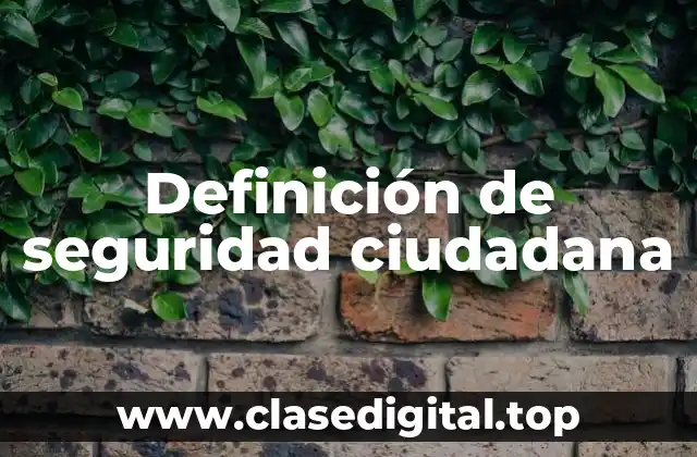 Definición de seguridad ciudadana