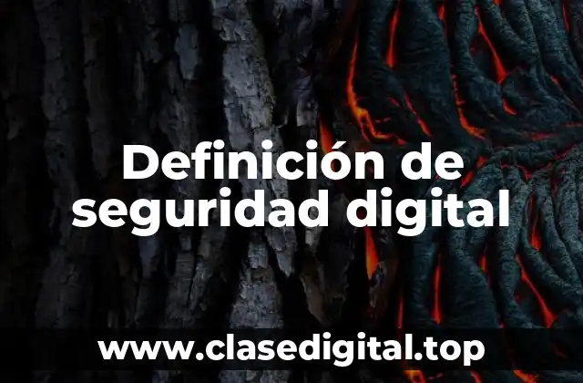 Definición de seguridad digital