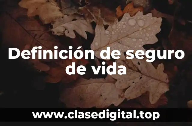 Definición técnica de seguro de vida