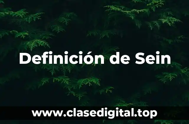 Ejemplos de Sein