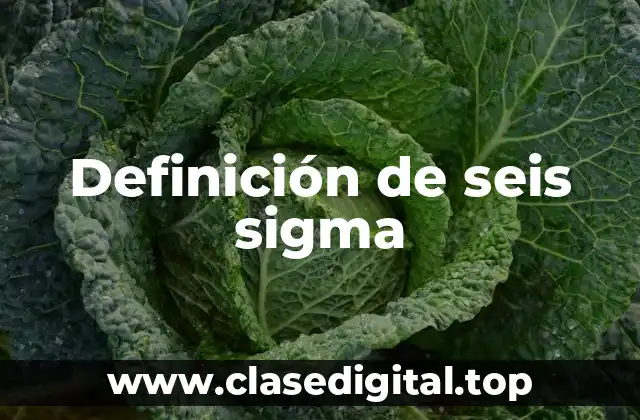 Definición de seis sigma