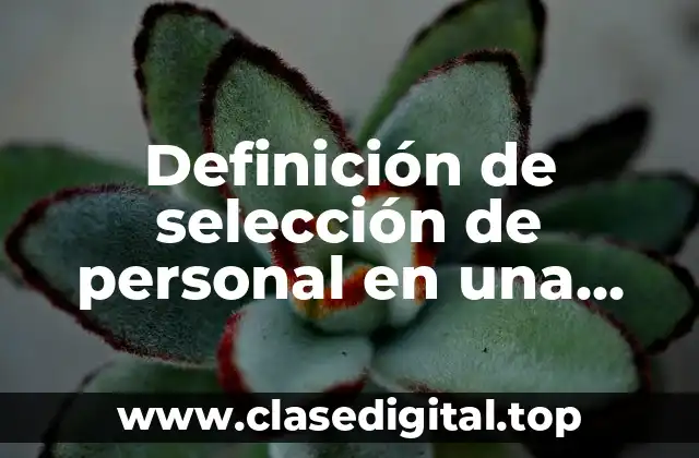 Definición de selección de personal en una empresa