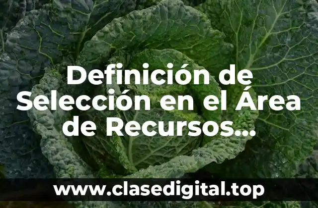 Definición de Selección en el Área de Recursos Humanos