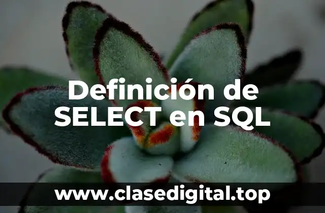 Definición de SELECT en SQL