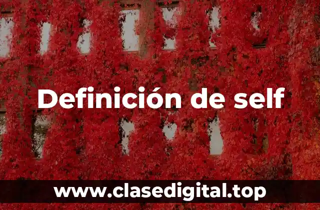 Definición de self
