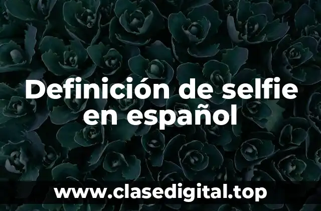 Definición de selfie en español