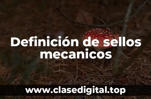 Definición de sellos mecanicos