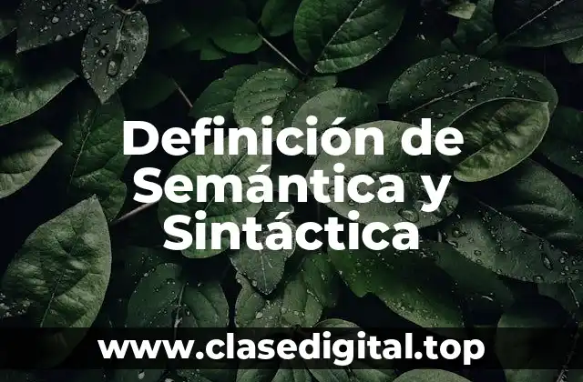 Definición de Semántica y Sintáctica
