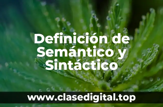 Definición de Semántico y Sintáctico