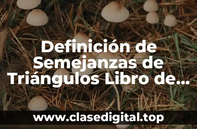 Definición de Semejanzas de Triángulos Libro de Geometría