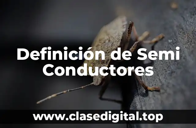 Definición técnica de Semi-Conductor