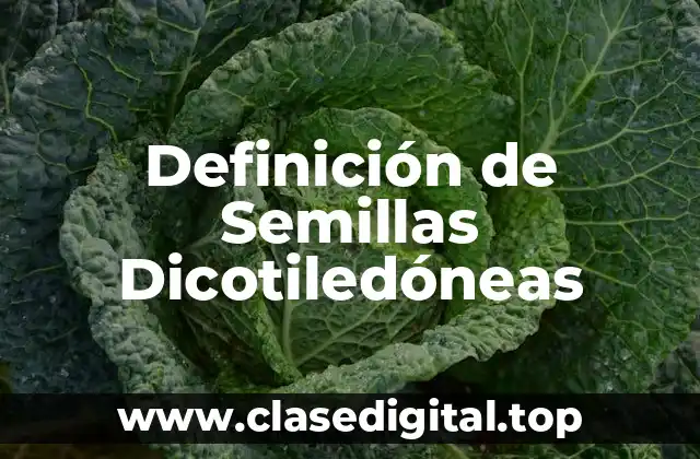 Definición de Semillas Dicotiledóneas