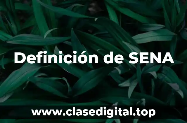 Definición de SENA