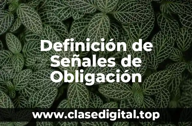 Definición Técnica de Señales de Obligación