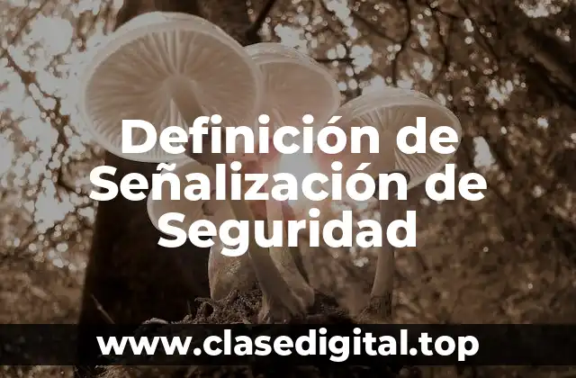 Ejemplos de Señalización de Seguridad