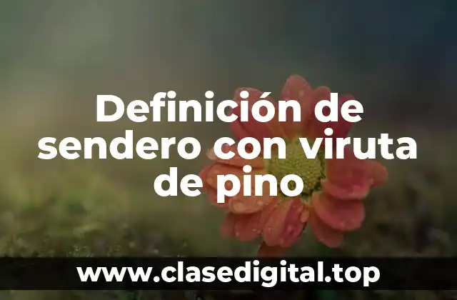 Definición de sendero con viruta de pino