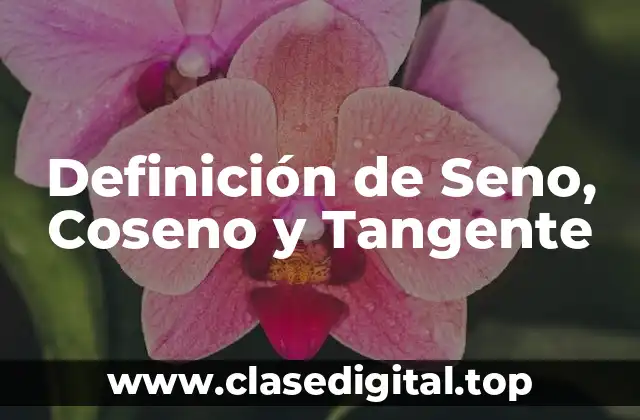 Definición de Seno, Coseno y Tangente