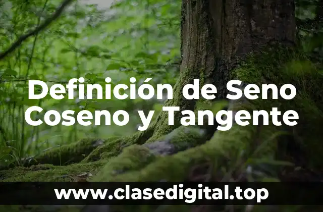 Definición técnica de Seno Coseno y Tangente