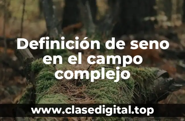 Definición de seno en el campo complejo