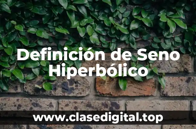 Definición de Seno Hiperbólico