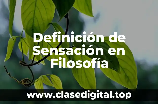 Definición de Sensación en Filosofía