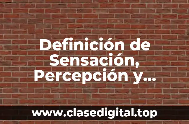 Definición de Sensación, Percepción y Aprendizaje en Psicología
