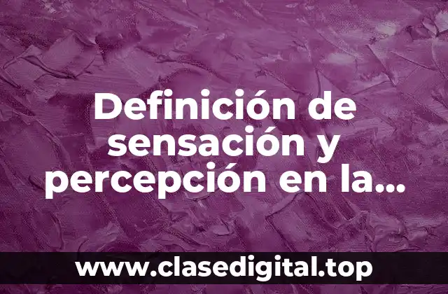 Definición de sensación y percepción en la vida cotidiana