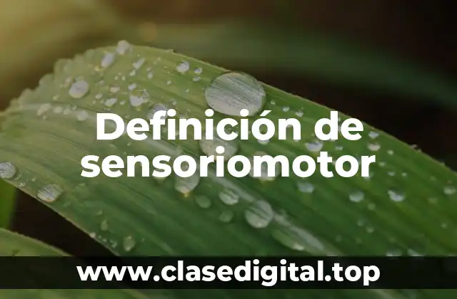 Definición de sensoriomotor