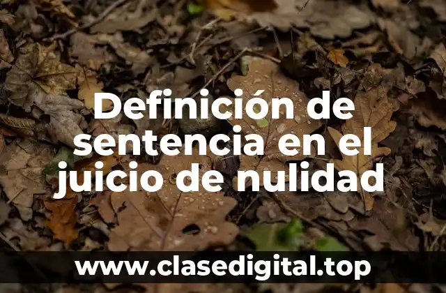 Definición de sentencia en el juicio de nulidad