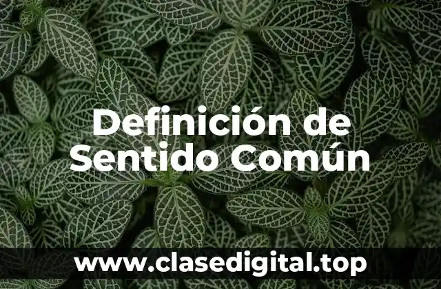 Definición técnica de Sentido Común