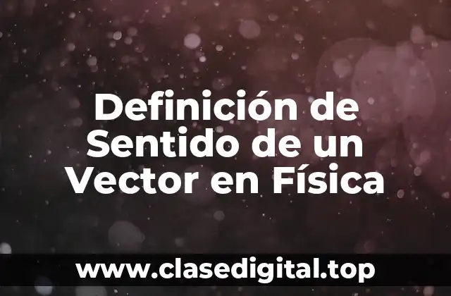 Definición de Sentido de un Vector en Física